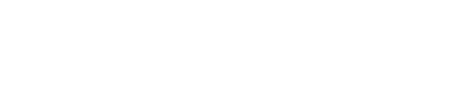 100% Job Success en Upwork
